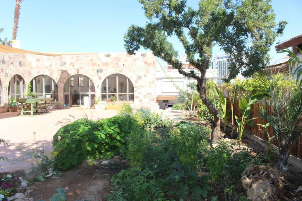 Eilat Stone - Patio אבן אילת - פטיו Apartment Bagian luar foto